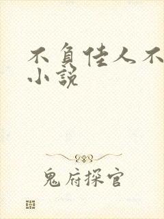 不负佳人不负卿小说