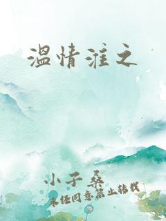 温情淮之