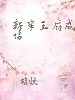 新宁王府成人网站