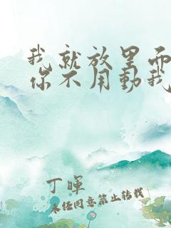 我就放里面不动你不用动我动