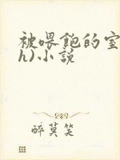 被喂饱的室友(h)小说