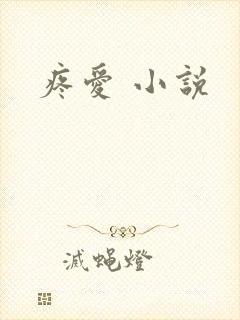 疼爱 小说