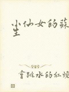 小仙女的苏撩先生