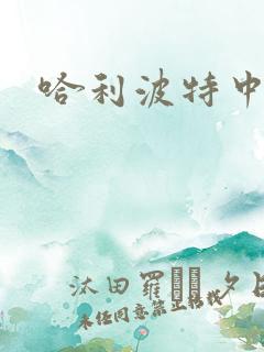 哈利波特中文版