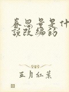 眷思量是什么小说改编的