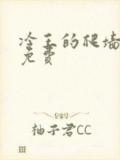 冷王的爬墙丑妃免费