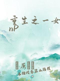 重生之一女九龙nP