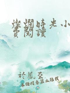 灿烂时光小说免费阅读