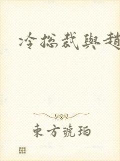 冷总裁与赵大牌