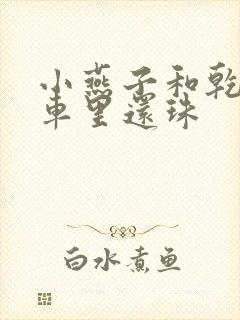 小燕子和乾隆在车里还珠