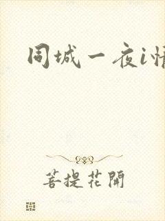 同城一夜i情