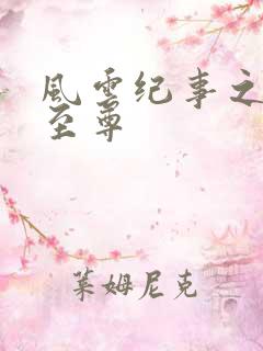 风云纪事之唯武至尊