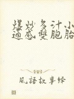 爆炒多汁小美人通感双胞胎