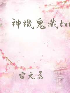 神机鬼藏txt