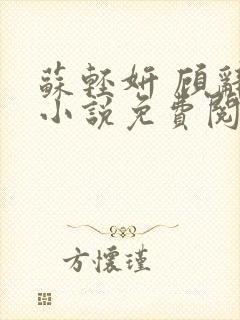 苏轻妍 顾辞笙小说免费阅读