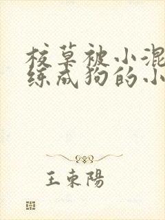 校草被小混混训练成狗的小说