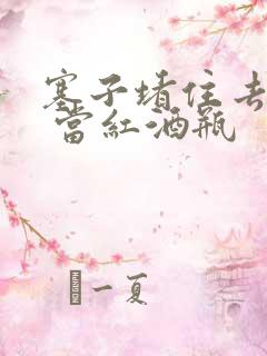 塞子堵住去上学 当红酒瓶