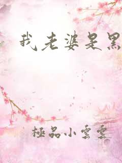 我老婆是黑社会