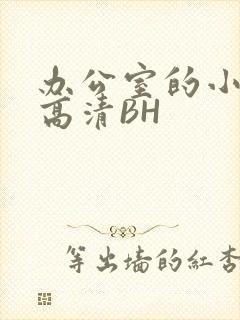 办公室的小秘书高清BH