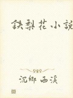 铁梨花小说