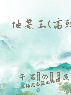 他是王(高干)