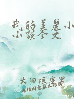 我的美丽小后妈小说全文