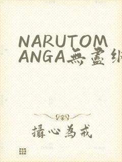 NARUTOMANGA无尽纲手