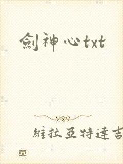 剑神心txt