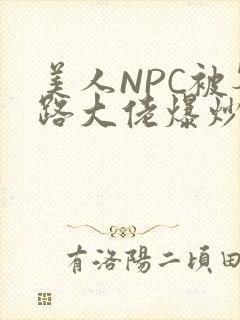 美人NPC被各路大佬爆炒小说