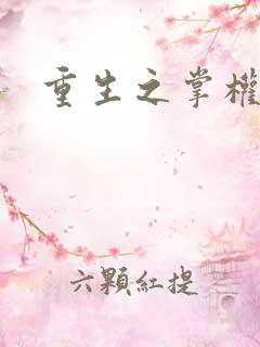 重生之掌权天下