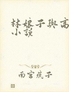 林娘子与高衙内小说