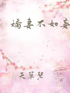 娇妻不如妾