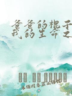 爸爸的棍子顶着我的生命之苏苗