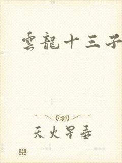 云龙十三子