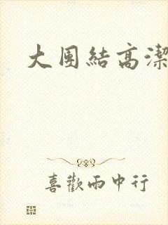 大团结高洁