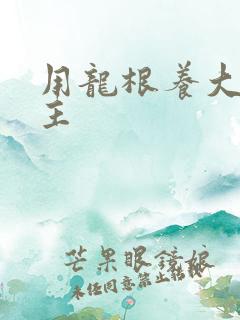 用龙根养大的公主