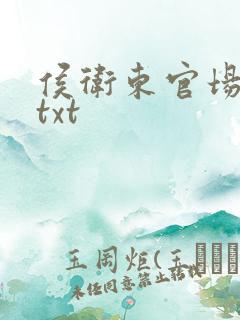 侯卫东官场笔记txt