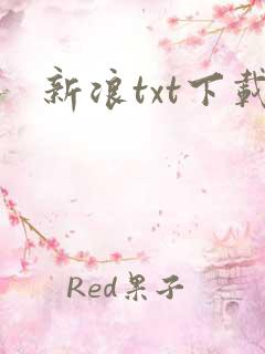 新浪txt下载
