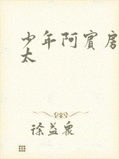 少年阿宾房东太太