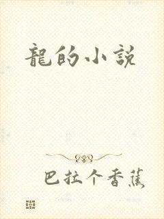龙的小说