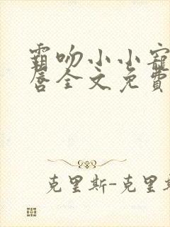 霸吻小小宠儿的唇全文免费阅读