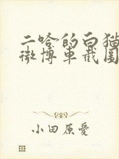 二哈的白猫师尊微博车截图