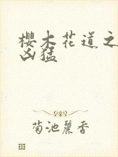 樱木花道之重生凶猛