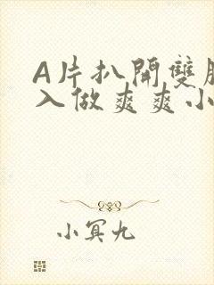 A片扒开双腿进入做爽爽小说