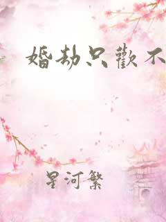 婚劫只欢不爱
