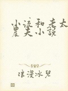 小流和老太69农夫小说