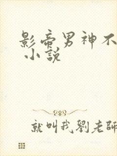 影帝男神不节制 小说