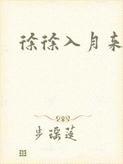 徐徐入月来