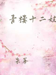 青楼十二妓