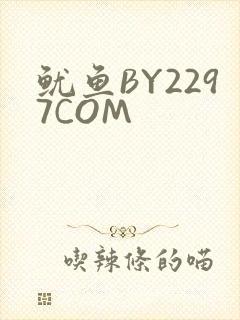 鱿鱼BY2297COM